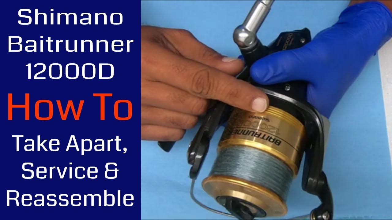 Shimano Baitrunner 12000D Fishing Reel - How to take apart, service and  reassemble 