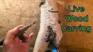 Dremel Wood carving a wizard face. Fresh Alder wood.