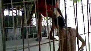 Selda Uno Pokerface Tacurong