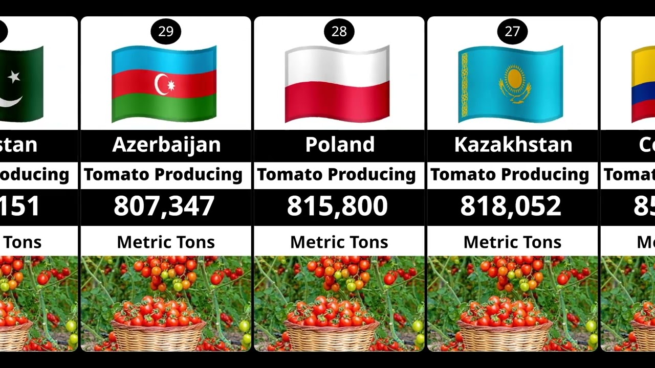 Top Tomato Producing Countries 2025