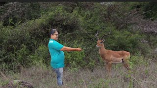 Solo Hiking and Nature Trail | | @TRIPTHEWILD @Ghumakkadbugz