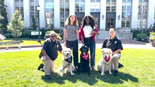 Meet Our Community Resource Dogs