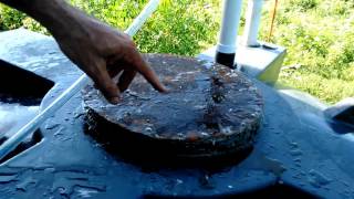 The Solar CITIES 1000 gallon biodigester at Heart in Haiti School