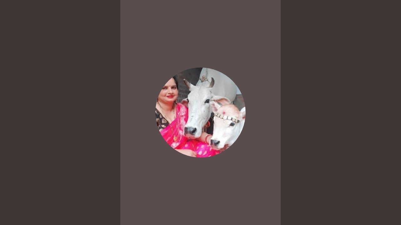 Missrinky लाइव है!