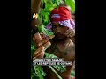 Mowgli the savage et les reptiles de guyane