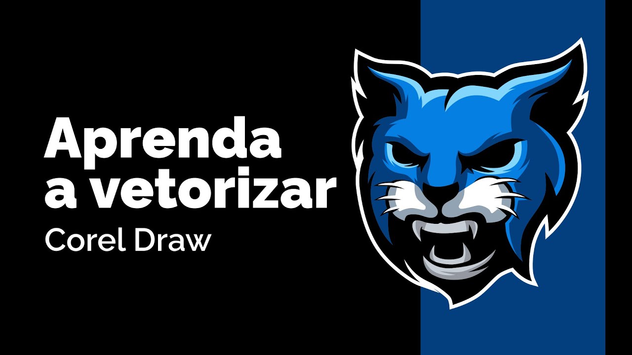 APRENDA A VETORIZAR UTILIZANDO O COREL DRAW - CURSO DE VETORIZAÇAO