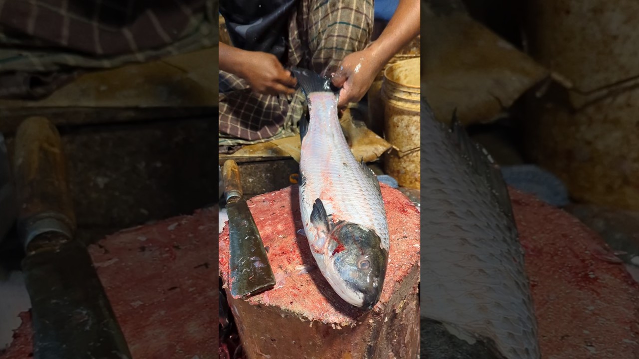 Wow!! Big Giant Rohu: Fish Cleaning & Cutting in Village Market 