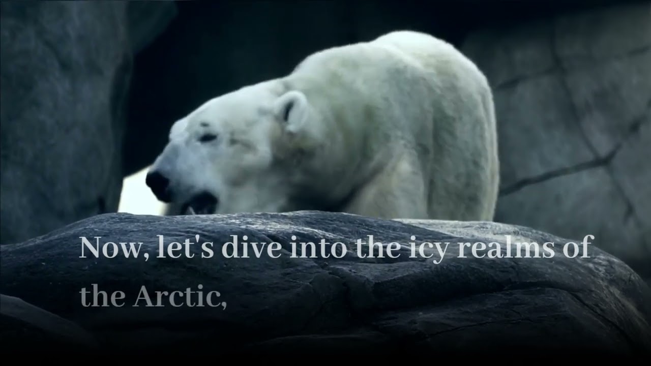 Animal thermoregulation