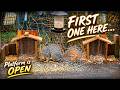 Platform Feeder Daylight Hours | Green Valley Wildlife Live | April 24th, 2026