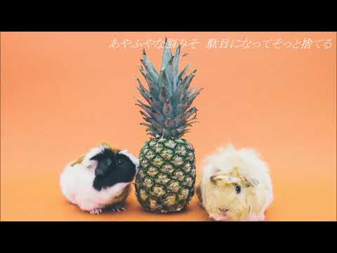 ガランド / ピコン cover アコギとうた