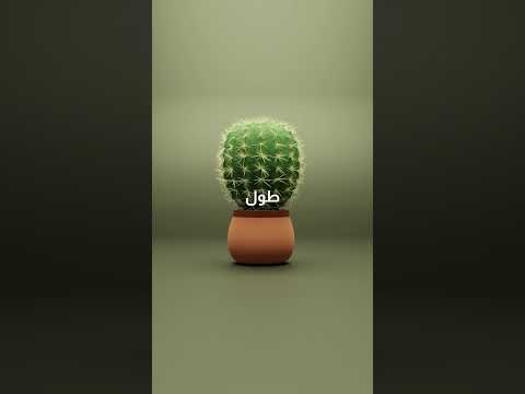 الجزازة شيخة بني مكاين