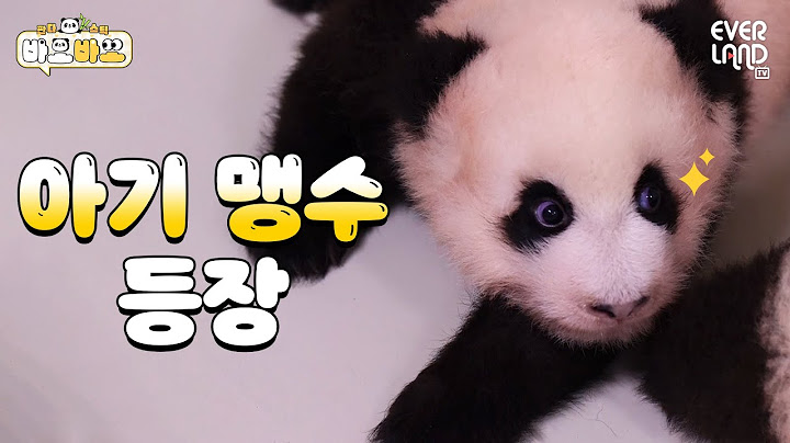 "Infant tooth attack is coming!" hahaha | #BaoBao EP.11 Infant tooths are here