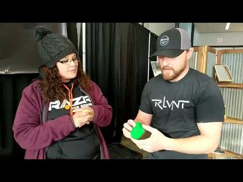 RLVNT Sunglasses