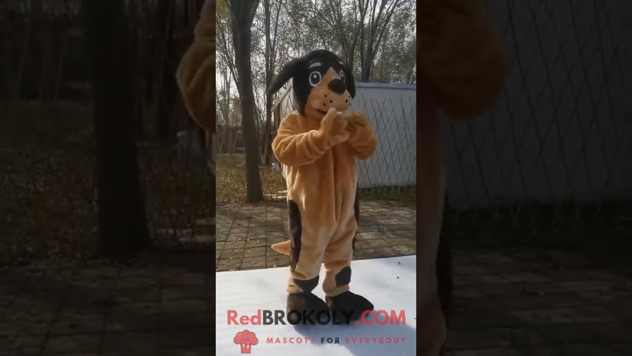 REDBROKOLY.COM Mascot Costume - A beige and black dog full body mascot costume