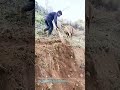 牽き起こし仕切る:牛鋤による山間傾斜地の畦作り