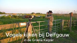 Vogels kijken in de Gouden Keijzer bij Delfgauw #1701
