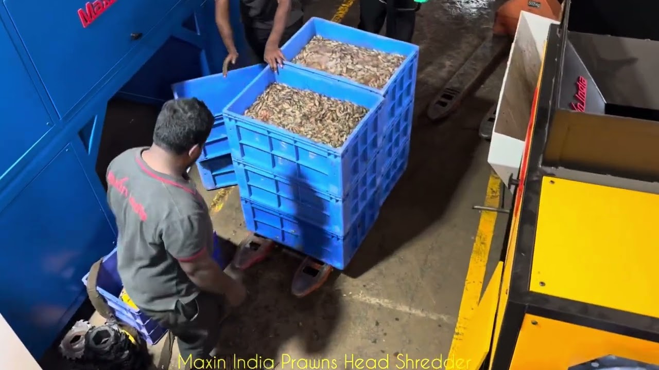 Shrimp shredder, shrimp head waste shredding machine, Prawn waste shredding machine 