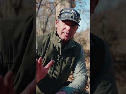 Which gun has more power? (350 v 400)