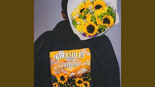 Girasoles - Gyrous