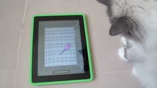 Ragdoll Cat Bella Plays with Cat Toy iPad App - ねこ - ラグドール - Floppycats screenshot 2