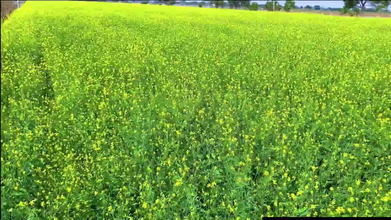 my first vlog 🔥 I| chothi lahar || my first vlog 2023 🙏 happy new year 🥳