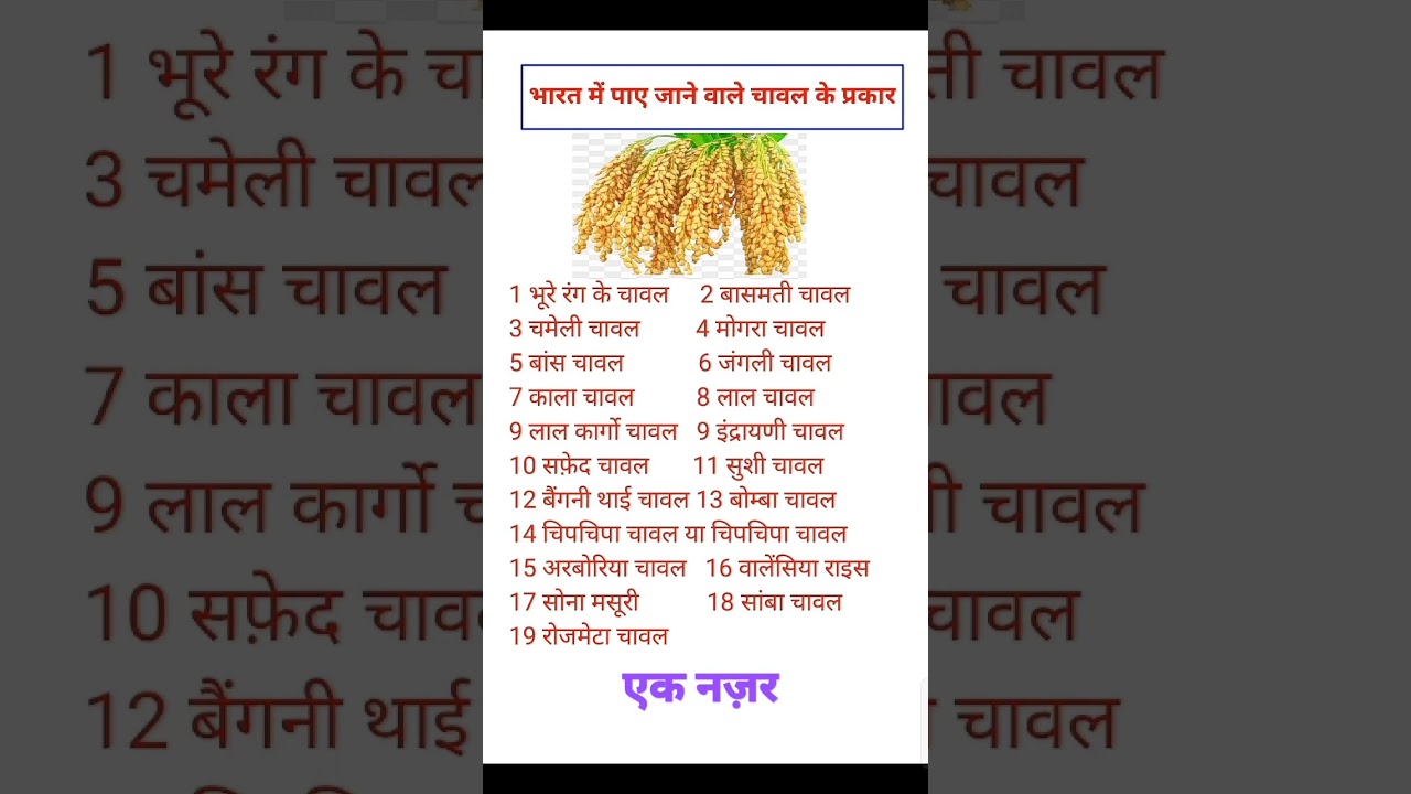 भारत में पाए जाने वाले चावल के प्रकार/ Kind of Rice 