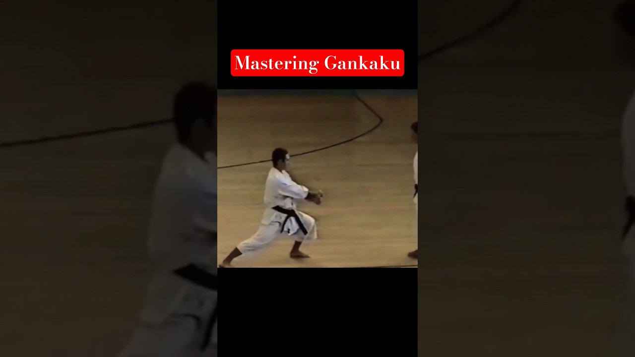 Mastering Gankaku with Shirai Sensei. part 2 