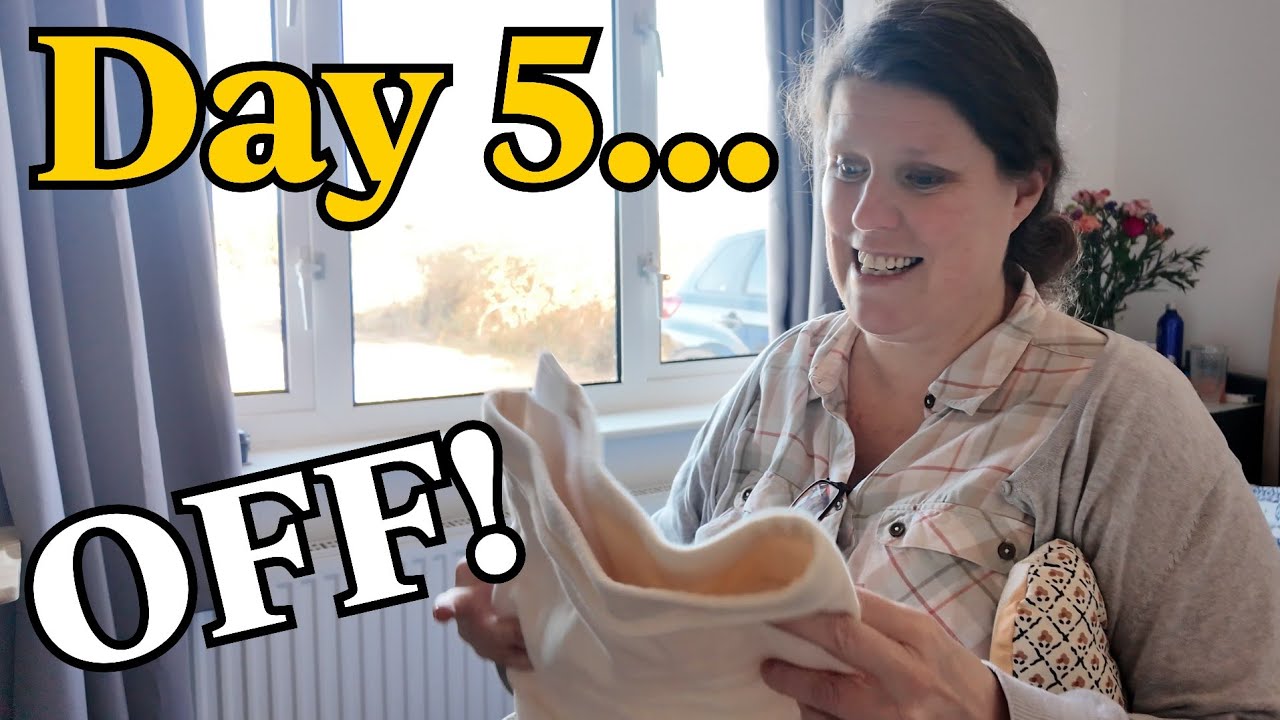 День ПЯТЫЙ: Посещение клиники по лечению ран, принятие мисс Пигги в должность. После операции мас...