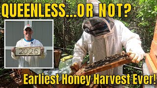 Queenless… Or Not? Rechecking My Hives + Honey Pull Begins