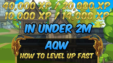 AQW | How to level up fast! | 10,000/20,000/40,000 XP IN UNDER 2M! With BOOST!