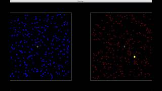 Binocular Rivalry Demo