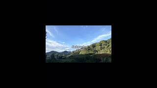 Abak Moy Ubin Na-Yuhan By Norman Malcat