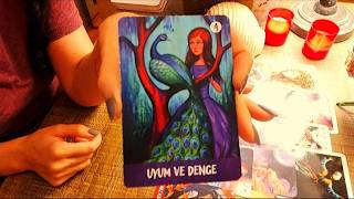 ⁉️🤴🏻🌟♥️👸🏻SENİNLE İLGİLİ NE YAŞAMAK İSTİYOR?‼️❣🎰#tarot #aklımdakikisi #expartner #platonik