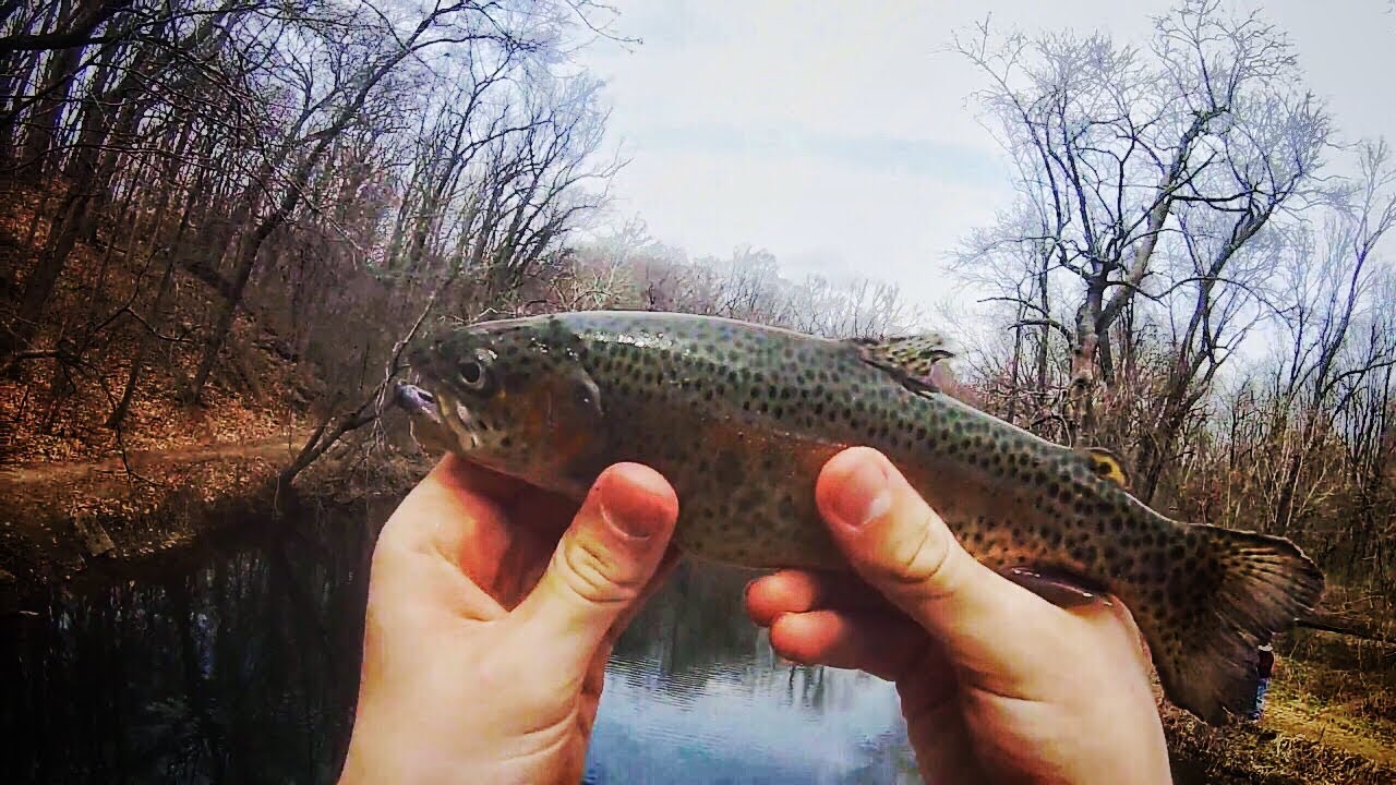 Stocked Trout Fishing on Easter Pennypack Creek Northeast