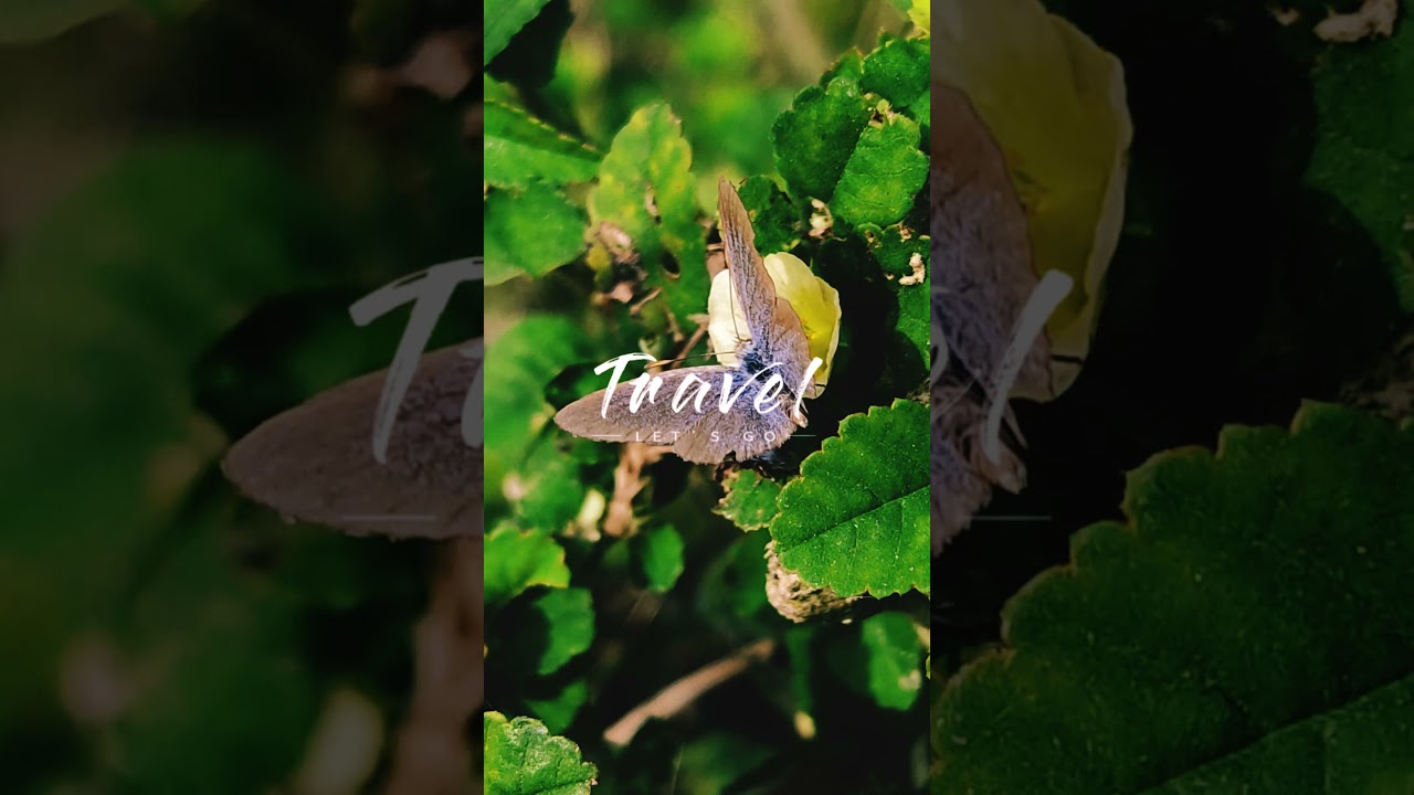 Travel Let's go💙❤️💙