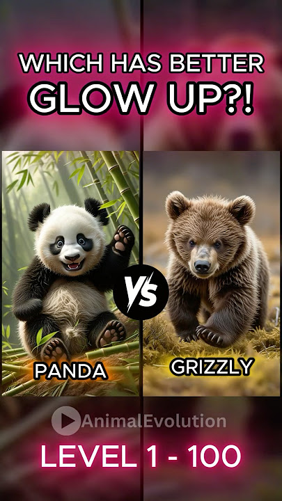 Panda Vs Grizzly Bear Glow Up Transformation Level 1-100!