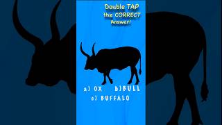 🛸Guess the farm animal shadow game ox bull buffalo? quiz video Tom MacDonald #shorts