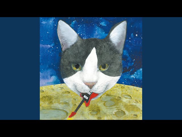 Felicette - YouTube