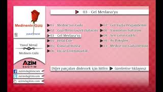 Gel Mevlana'ya — Yusuf Meral kapak görseli