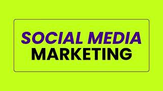 Geniebee - Digital Marketing Services