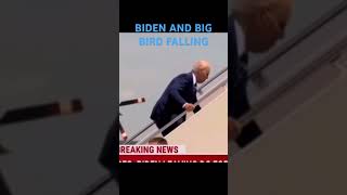 BIDEN AND BIG BIRD: FALLING DOWN #funny #memes #mediamemes #viral