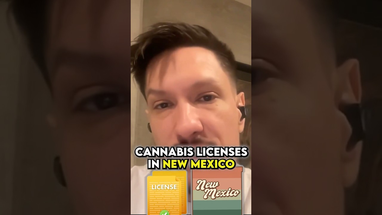Cannabis Licenses in New Mexico