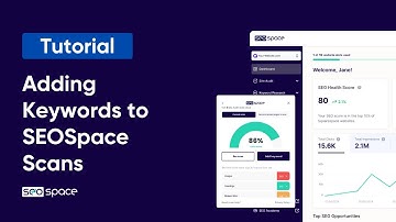 Adding Keywords to SEOSpace Scans (Feature Tutorial)