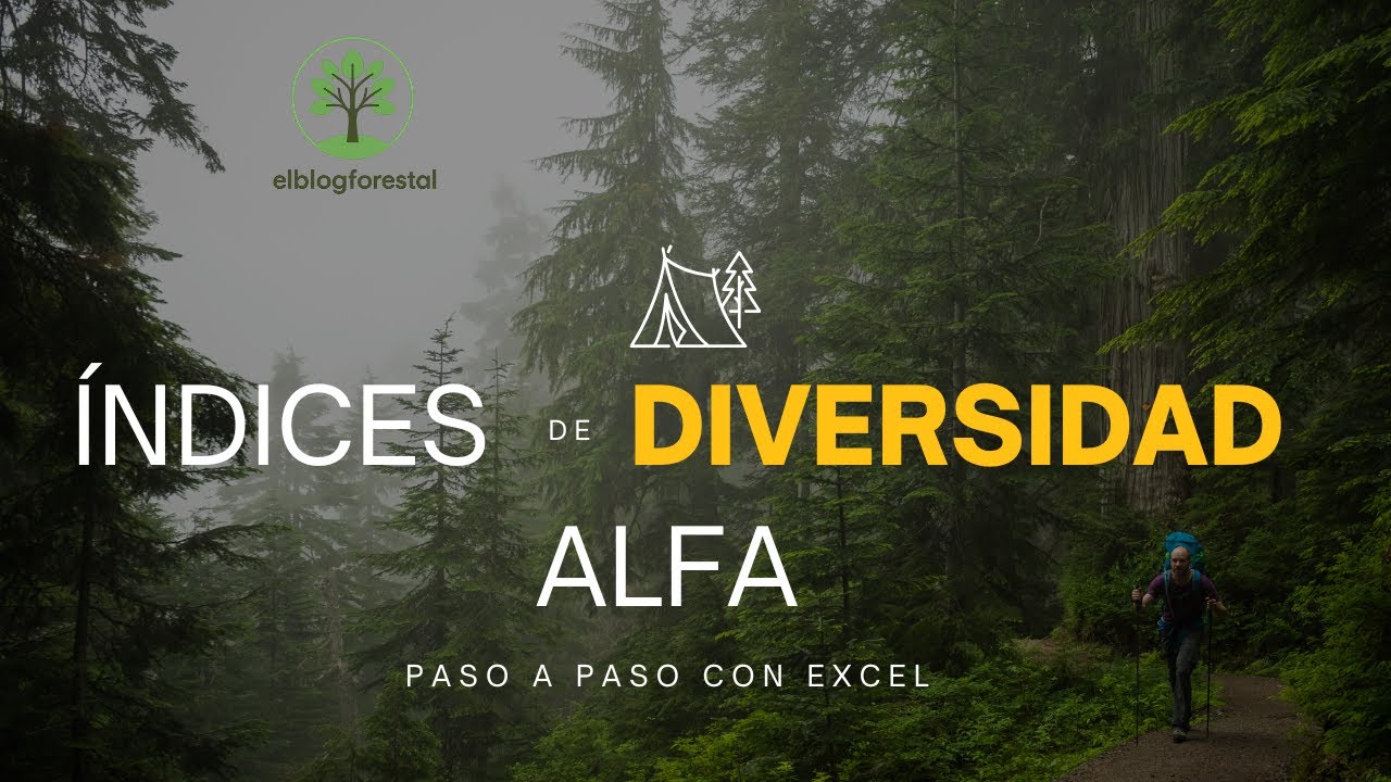 Índices de diversidad alfa en Excel, paso a paso.