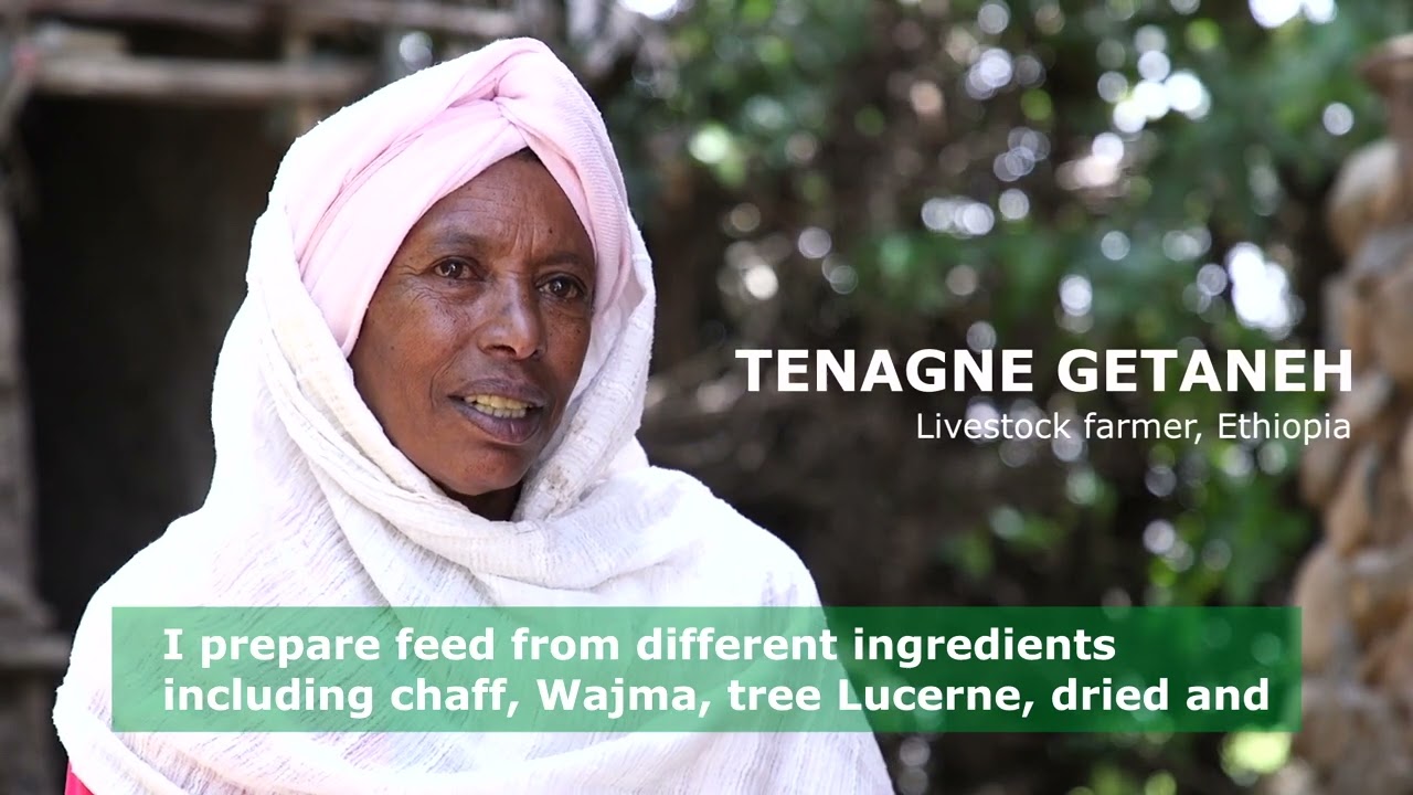 Crop residues and feed management