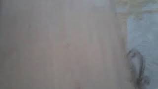 Kışkırtıcı Video