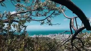HAWAII NARNIA HIKE