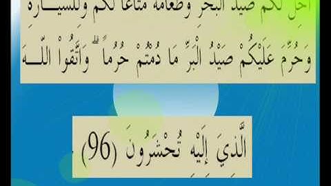 القران الكريم سورة المائدة الأية 96.wmv