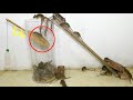 Mouse Trap / Automatic rocking bridge with large plastic bucket/ Mouse Trap catching 50 mice alive