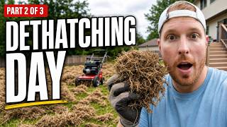 Dethatching 101: The Step Everyone Skips in a Lawn Renovation